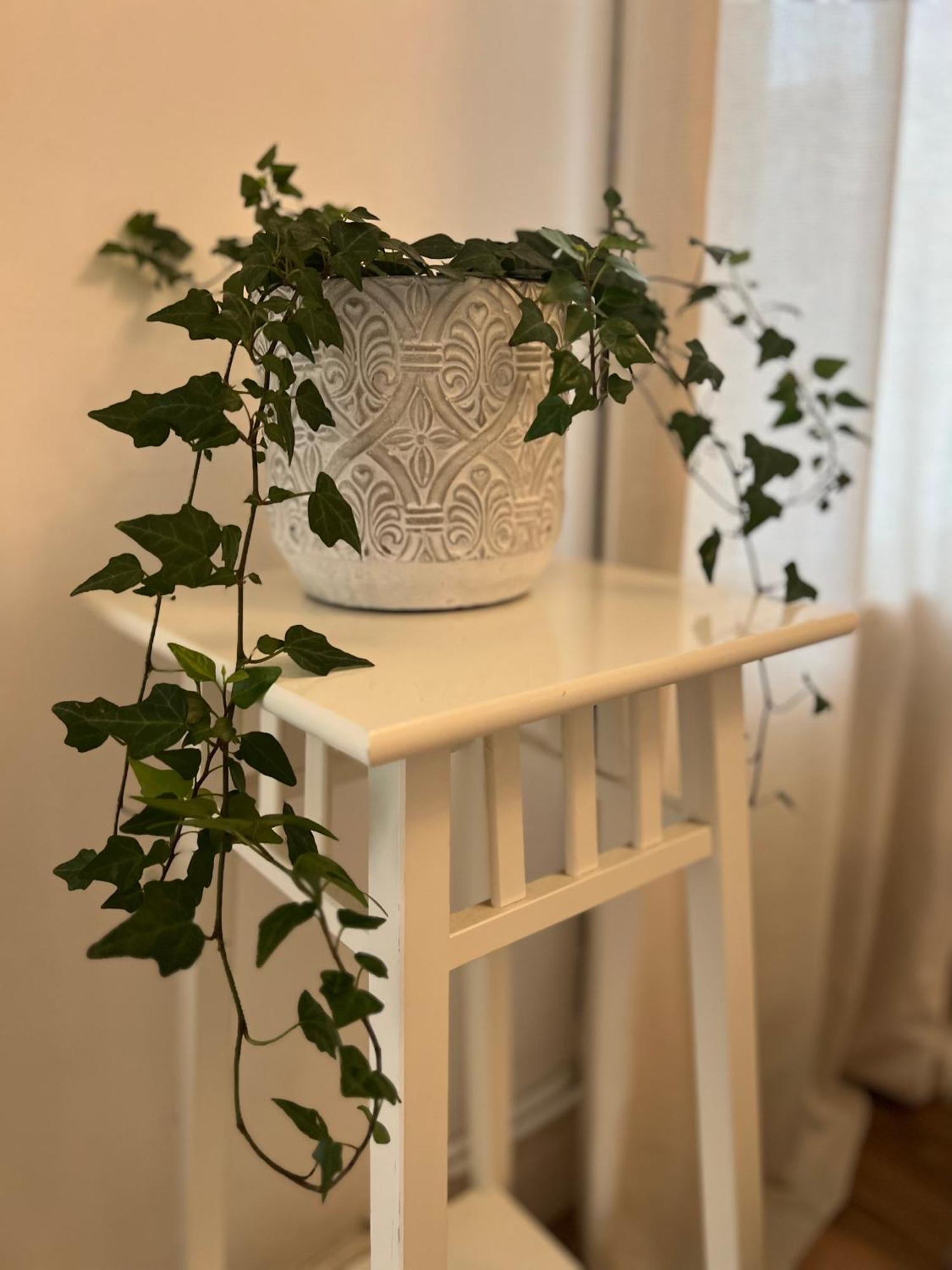 2025 Award Winner Liverpool Ivy House - 4 Bedrooms Екстериор снимка