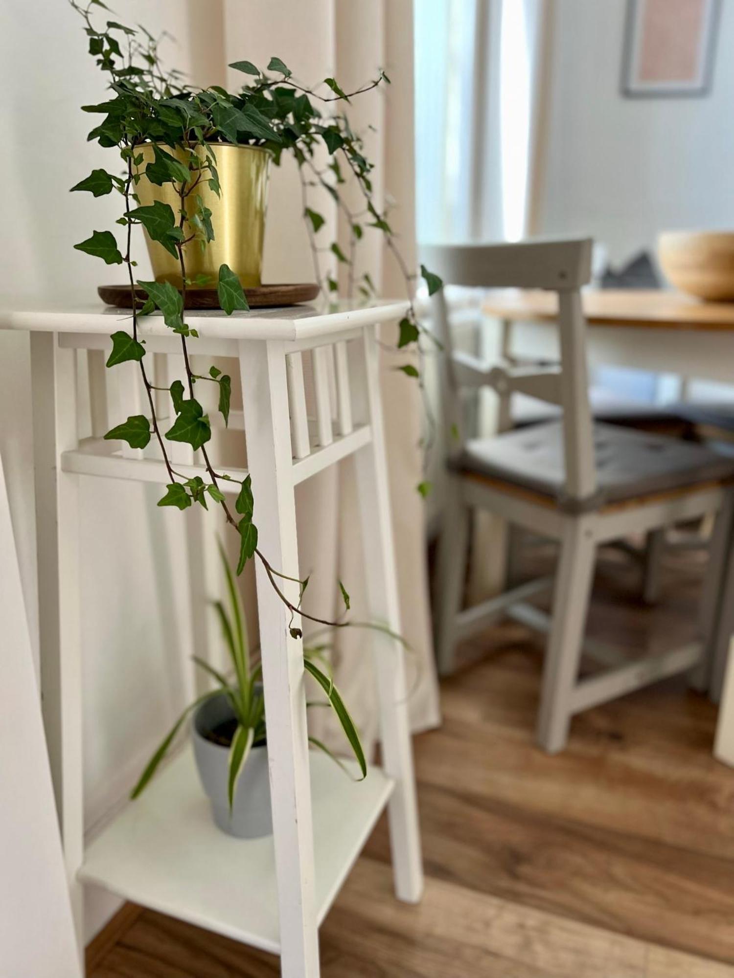 2025 Award Winner Liverpool Ivy House - 4 Bedrooms Екстериор снимка